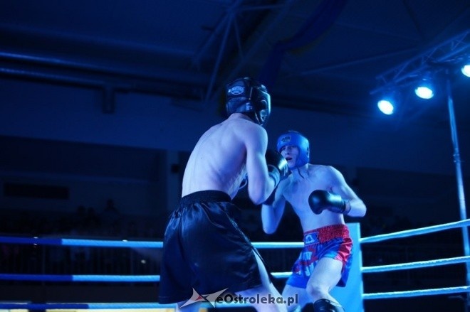 II Gala Sportów Walki SPARTA (08.03.2014) - zdjęcie #121 - eOstroleka.pl