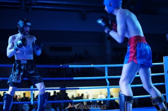 II Gala Sportów Walki SPARTA (08.03.2014) - zdjęcie #119 - eOstroleka.pl