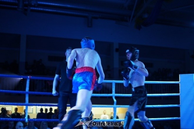 II Gala Sportów Walki SPARTA (08.03.2014) - zdjęcie #118 - eOstroleka.pl