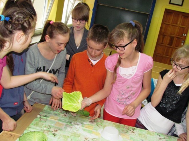 IV Turniej Szóstoklasistów z ZS nr 4 [18.03.2014] - zdjęcie #23 - eOstroleka.pl