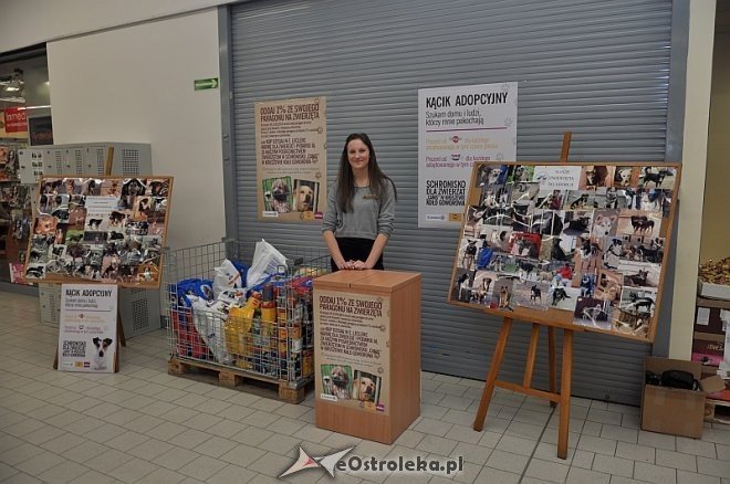 Trwa wielka zbiórka karmy dla zwierząt w Ostrołęce [20.03.2014] - zdjęcie #5 - eOstroleka.pl