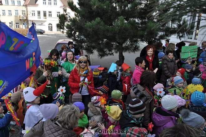 Przedszkolaki powitały wiosnę [21.03.2014] - zdjęcie #150 - eOstroleka.pl