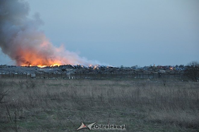 Płonie wysypisko śmieci przy ulicy Turskiego w Ostrołęce [31.03.2014] - zdjęcie #5 - eOstroleka.pl