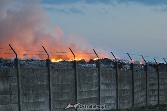 Płonie wysypisko śmieci przy ulicy Turskiego w Ostrołęce [31.03.2014] - zdjęcie #11 - eOstroleka.pl