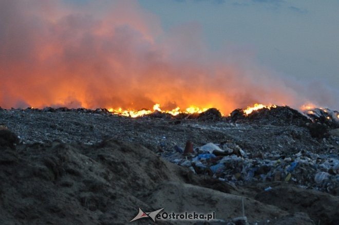 Płonie wysypisko śmieci przy ulicy Turskiego w Ostrołęce [31.03.2014] - zdjęcie #13 - eOstroleka.pl