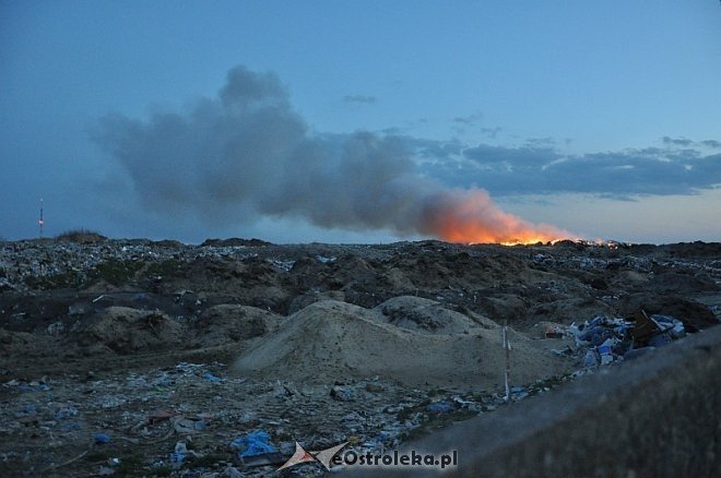 Płonie wysypisko śmieci przy ulicy Turskiego w Ostrołęce [31.03.2014] - zdjęcie #16 - eOstroleka.pl