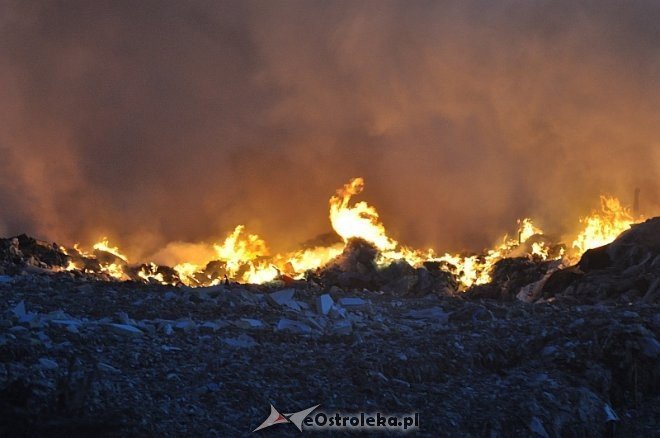 Płonie wysypisko śmieci przy ulicy Turskiego w Ostrołęce [31.03.2014] - zdjęcie #23 - eOstroleka.pl