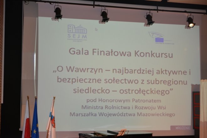 Krystyna Manowska laureatką konkursu „O Wawrzyn” [02.04.2014] - zdjęcie #11 - eOstroleka.pl