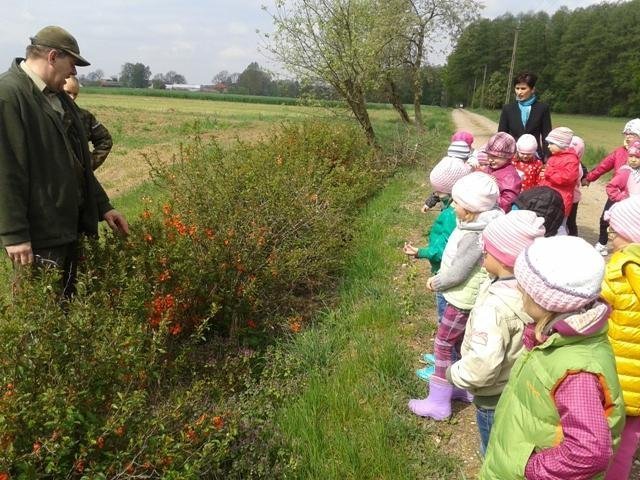 Edukacyjnie i ekologicznie – wycieczka przedszkolaków z Goworowa [ZDJĘCIA] - zdjęcie #7 - eOstroleka.pl
