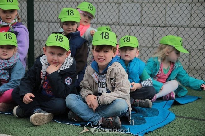 Międzyprzedszkolna Spartakiada Sportowo-Ekologiczna [07.05.2014] - zdjęcie #34 - eOstroleka.pl