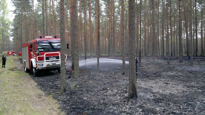Siarcza Łąka: Spłonęło blisko 1,5 ha poszycia leśnego [07.05.2014] - zdjęcie #5 - eOstroleka.pl