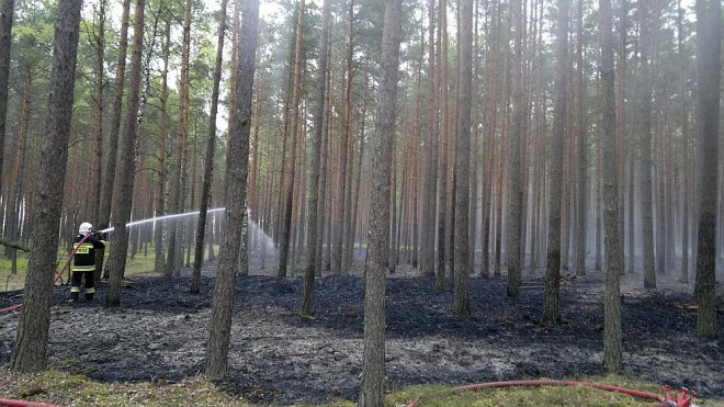 Siarcza Łąka: Spłonęło blisko 1,5 ha poszycia leśnego [07.05.2014] - zdjęcie #3 - eOstroleka.pl
