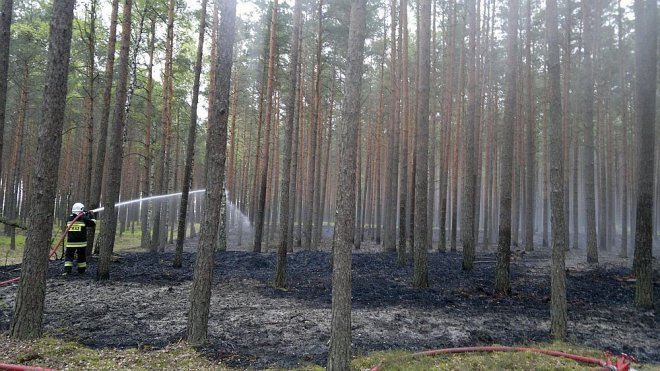 Siarcza Łąka: Spłonęło blisko 1,5 ha poszycia leśnego [07.05.2014] - zdjęcie #4 - eOstroleka.pl