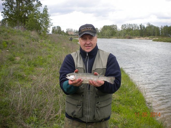 Zawody Spławikowe PZW Narew koło nr 38 [12.05.2014] - zdjęcie #24 - eOstroleka.pl