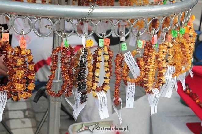 Dzień Ziemi w Ostrołęce [18.05.2014] - zdjęcie #61 - eOstroleka.pl