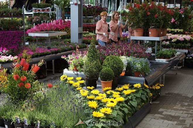Zobacz jak wygląda wnętrze Galerii Bursztynowa [20.05.2014] - zdjęcie #4 - eOstroleka.pl