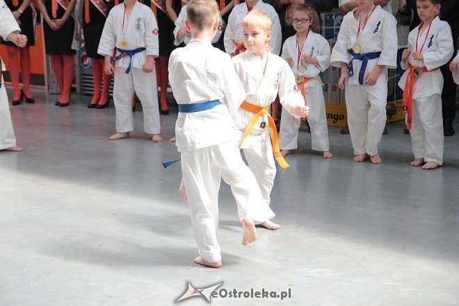 Uroczyste otwarcie OBI w Ostrołęce [22.05.2014] - zdjęcie #25 - eOstroleka.pl