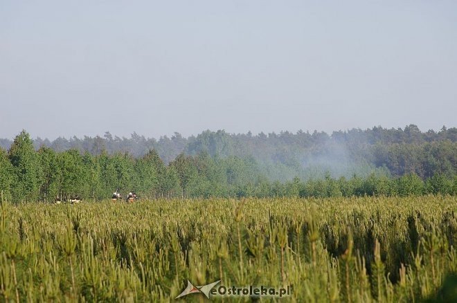 Gigantyczny pożar lasu w gminie Kadzidło [24.05.2014] - zdjęcie #58 - eOstroleka.pl