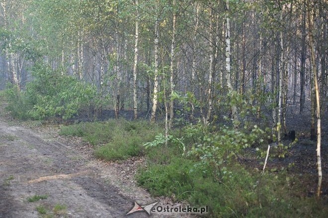 Gigantyczny pożar lasu w gminie Kadzidło [24.05.2014] - zdjęcie #61 - eOstroleka.pl