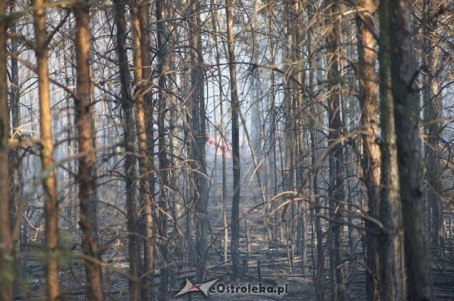Gigantyczny pożar lasu w gminie Kadzidło [24.05.2014] - zdjęcie #63 - eOstroleka.pl