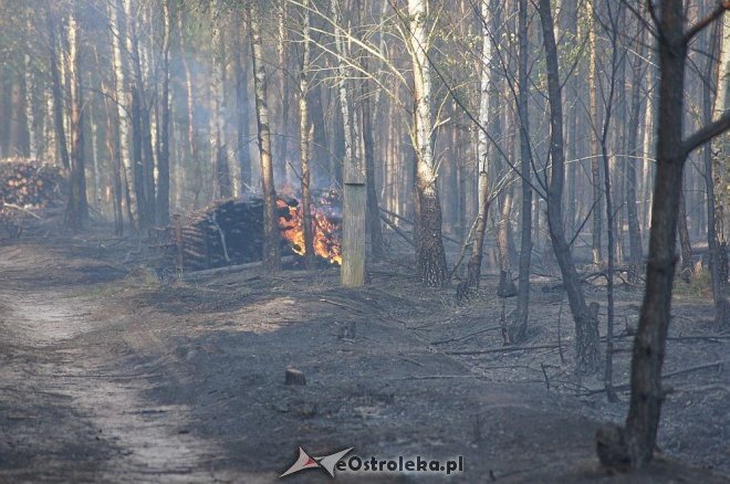 Gigantyczny pożar lasu w gminie Kadzidło [24.05.2014] - zdjęcie #8 - eOstroleka.pl