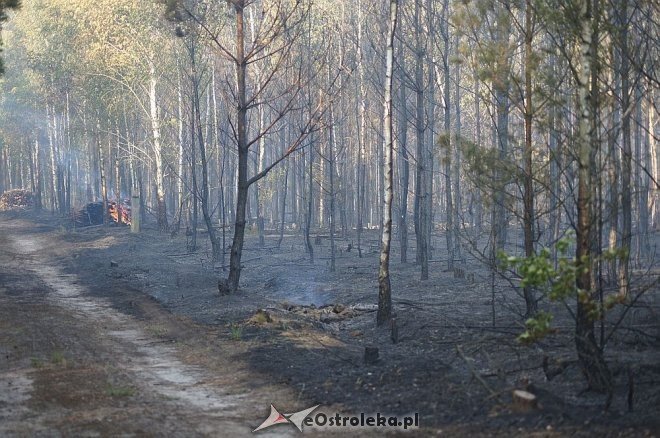 Gigantyczny pożar lasu w gminie Kadzidło [24.05.2014] - zdjęcie #22 - eOstroleka.pl