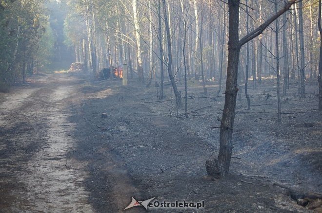Gigantyczny pożar lasu w gminie Kadzidło [24.05.2014] - zdjęcie #65 - eOstroleka.pl