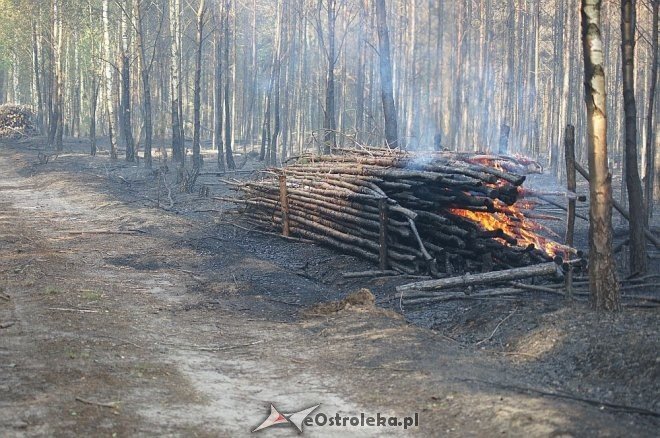 Gigantyczny pożar lasu w gminie Kadzidło [24.05.2014] - zdjęcie #2 - eOstroleka.pl