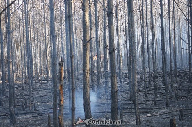 Gigantyczny pożar lasu w gminie Kadzidło [24.05.2014] - zdjęcie #15 - eOstroleka.pl