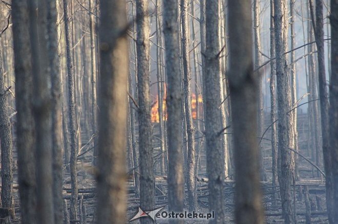 Gigantyczny pożar lasu w gminie Kadzidło [24.05.2014] - zdjęcie #16 - eOstroleka.pl