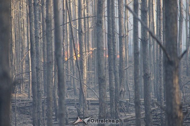 Gigantyczny pożar lasu w gminie Kadzidło [24.05.2014] - zdjęcie #17 - eOstroleka.pl