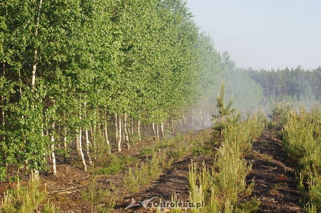 Gigantyczny pożar lasu w gminie Kadzidło [24.05.2014] - zdjęcie #24 - eOstroleka.pl