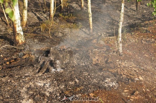 Gigantyczny pożar lasu w gminie Kadzidło [24.05.2014] - zdjęcie #25 - eOstroleka.pl