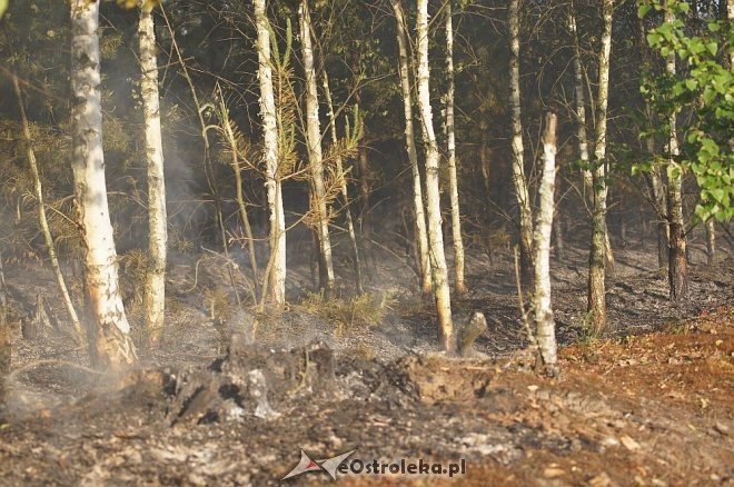 Gigantyczny pożar lasu w gminie Kadzidło [24.05.2014] - zdjęcie #26 - eOstroleka.pl