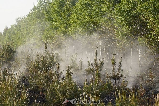 Gigantyczny pożar lasu w gminie Kadzidło [24.05.2014] - zdjęcie #29 - eOstroleka.pl