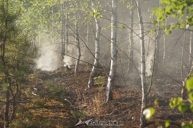 Gigantyczny pożar lasu w gminie Kadzidło [24.05.2014] - zdjęcie #32 - eOstroleka.pl