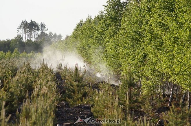 Gigantyczny pożar lasu w gminie Kadzidło [24.05.2014] - zdjęcie #33 - eOstroleka.pl