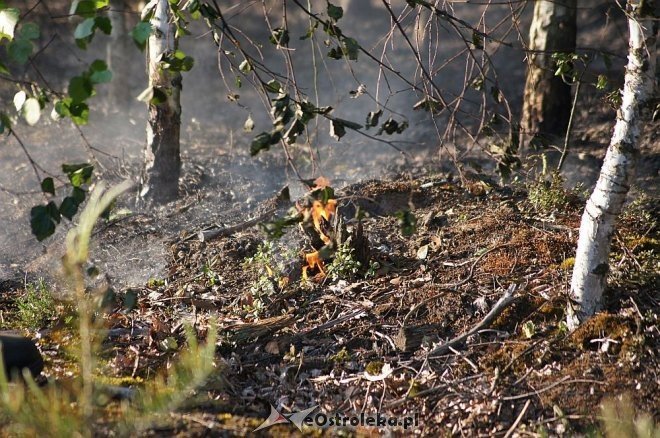 Gigantyczny pożar lasu w gminie Kadzidło [24.05.2014] - zdjęcie #34 - eOstroleka.pl