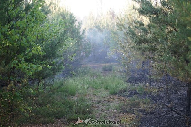 Gigantyczny pożar lasu w gminie Kadzidło [24.05.2014] - zdjęcie #36 - eOstroleka.pl