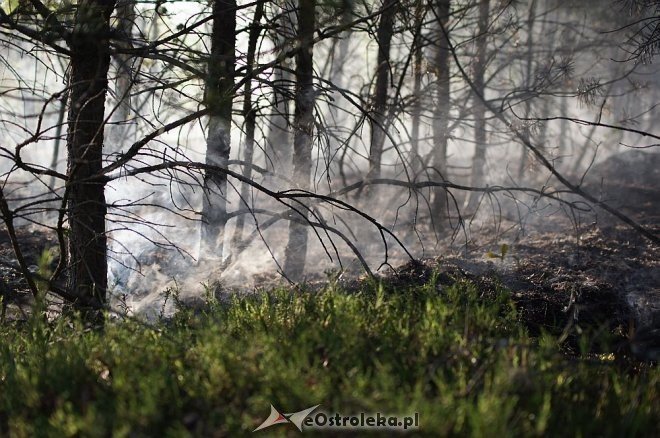 Gigantyczny pożar lasu w gminie Kadzidło [24.05.2014] - zdjęcie #37 - eOstroleka.pl