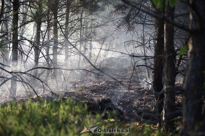 Gigantyczny pożar lasu w gminie Kadzidło [24.05.2014] - zdjęcie #38 - eOstroleka.pl