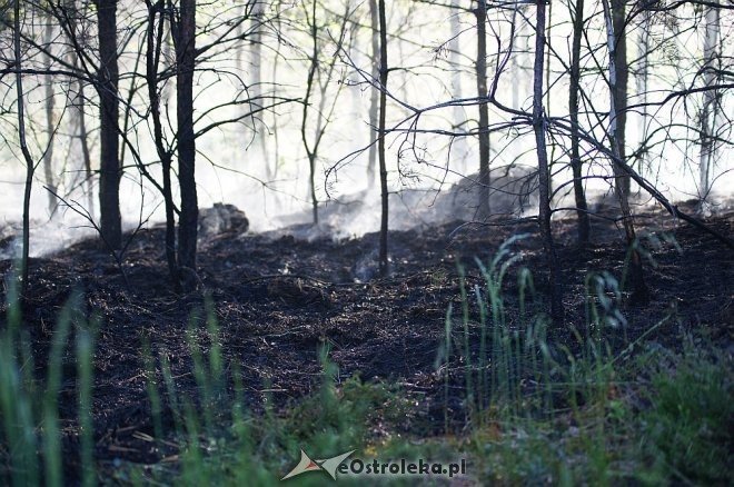 Gigantyczny pożar lasu w gminie Kadzidło [24.05.2014] - zdjęcie #39 - eOstroleka.pl