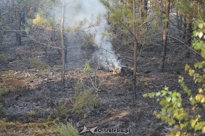 Gigantyczny pożar lasu w gminie Kadzidło [24.05.2014] - zdjęcie #41 - eOstroleka.pl