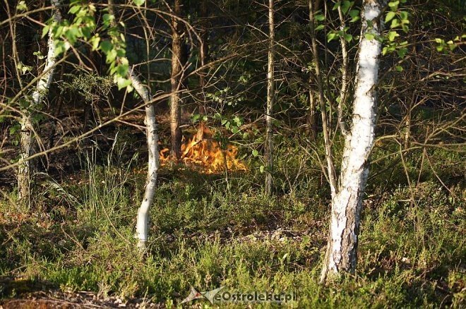 Gigantyczny pożar lasu w gminie Kadzidło [24.05.2014] - zdjęcie #44 - eOstroleka.pl