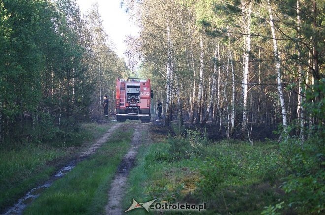 Gigantyczny pożar lasu w gminie Kadzidło [24.05.2014] - zdjęcie #45 - eOstroleka.pl