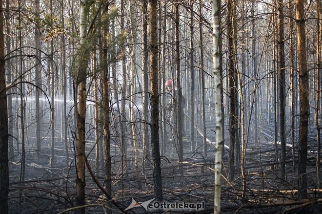 Gigantyczny pożar lasu w gminie Kadzidło [24.05.2014] - zdjęcie #46 - eOstroleka.pl