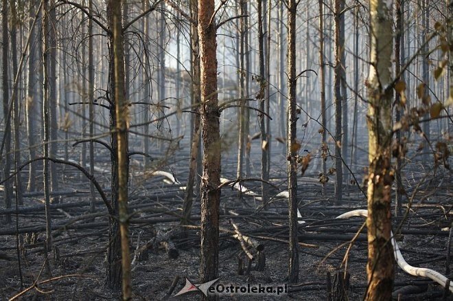 Gigantyczny pożar lasu w gminie Kadzidło [24.05.2014] - zdjęcie #48 - eOstroleka.pl