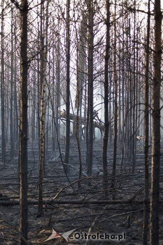 Gigantyczny pożar lasu w gminie Kadzidło [24.05.2014] - zdjęcie #50 - eOstroleka.pl