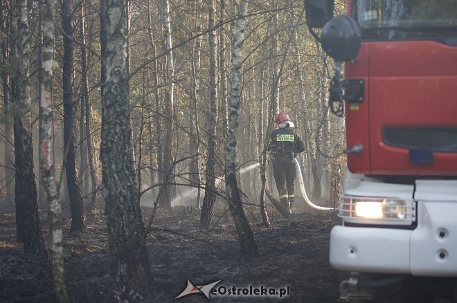 Gigantyczny pożar lasu w gminie Kadzidło [24.05.2014] - zdjęcie #53 - eOstroleka.pl