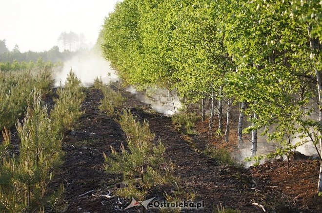 Gigantyczny pożar lasu w gminie Kadzidło [24.05.2014] - zdjęcie #30 - eOstroleka.pl